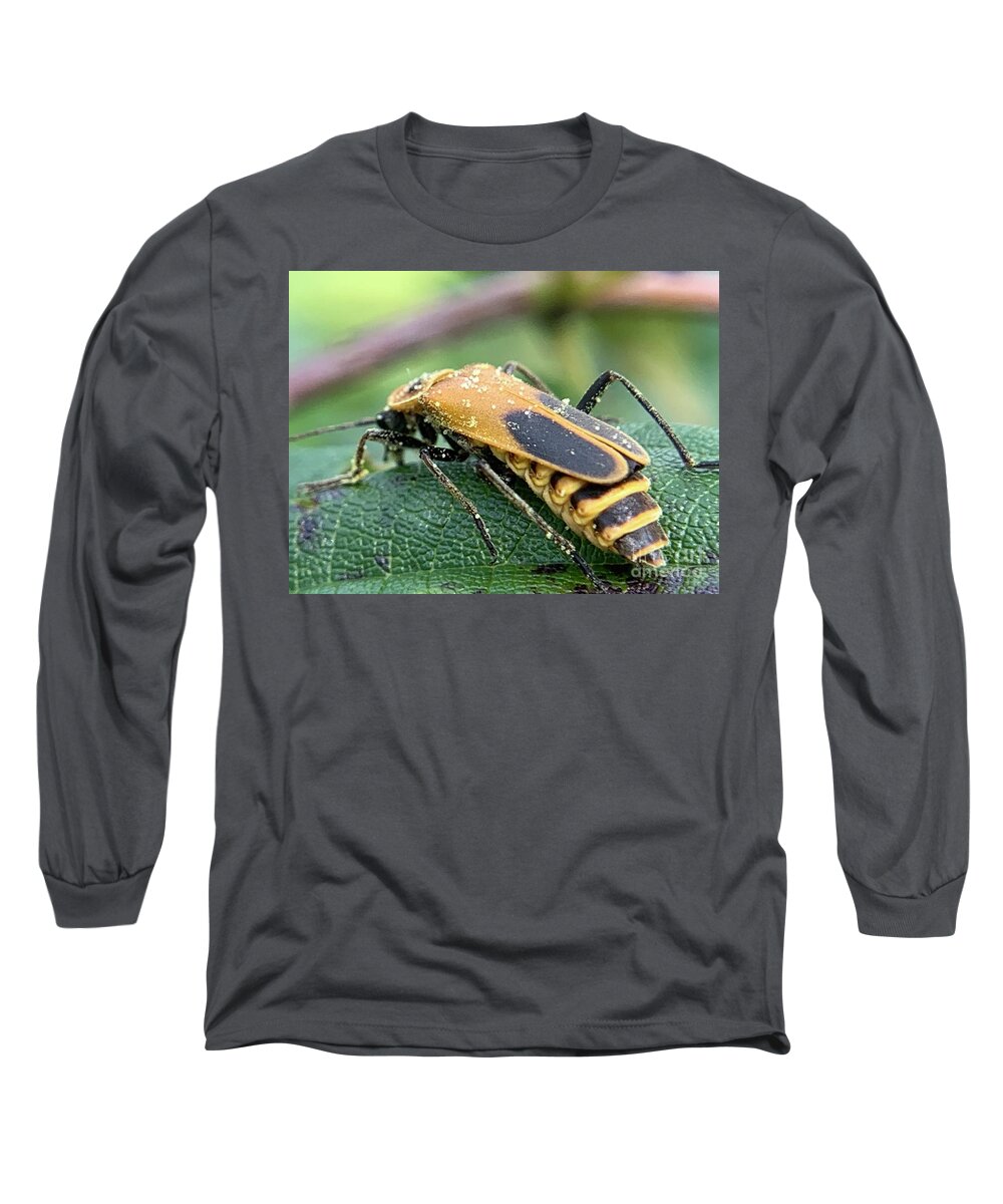 Beetle Long Sleeve T-Shirt featuring the photograph Beetle by Catherine Wilson