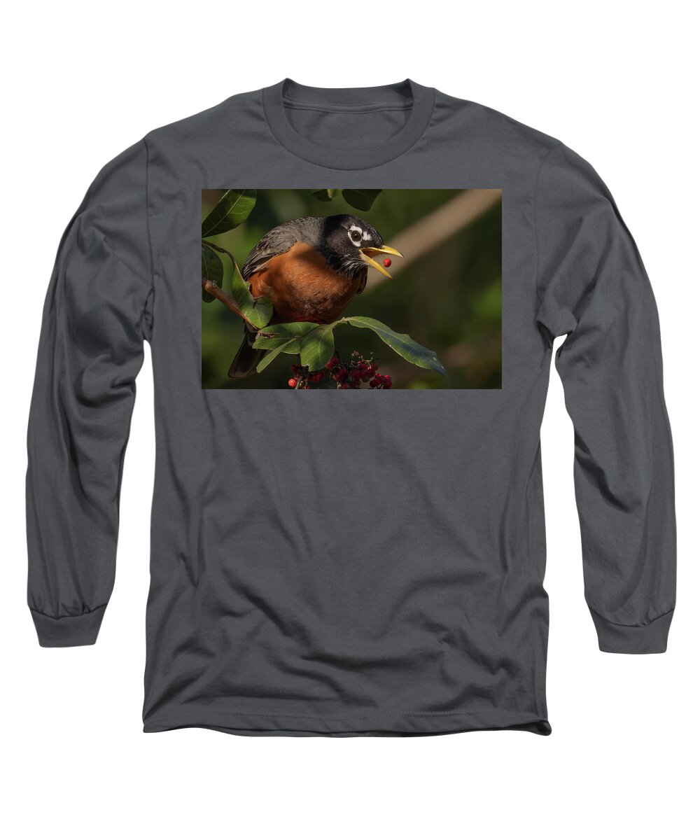 Robin Long Sleeve T-Shirt featuring the photograph Berry Toss by RD Allen