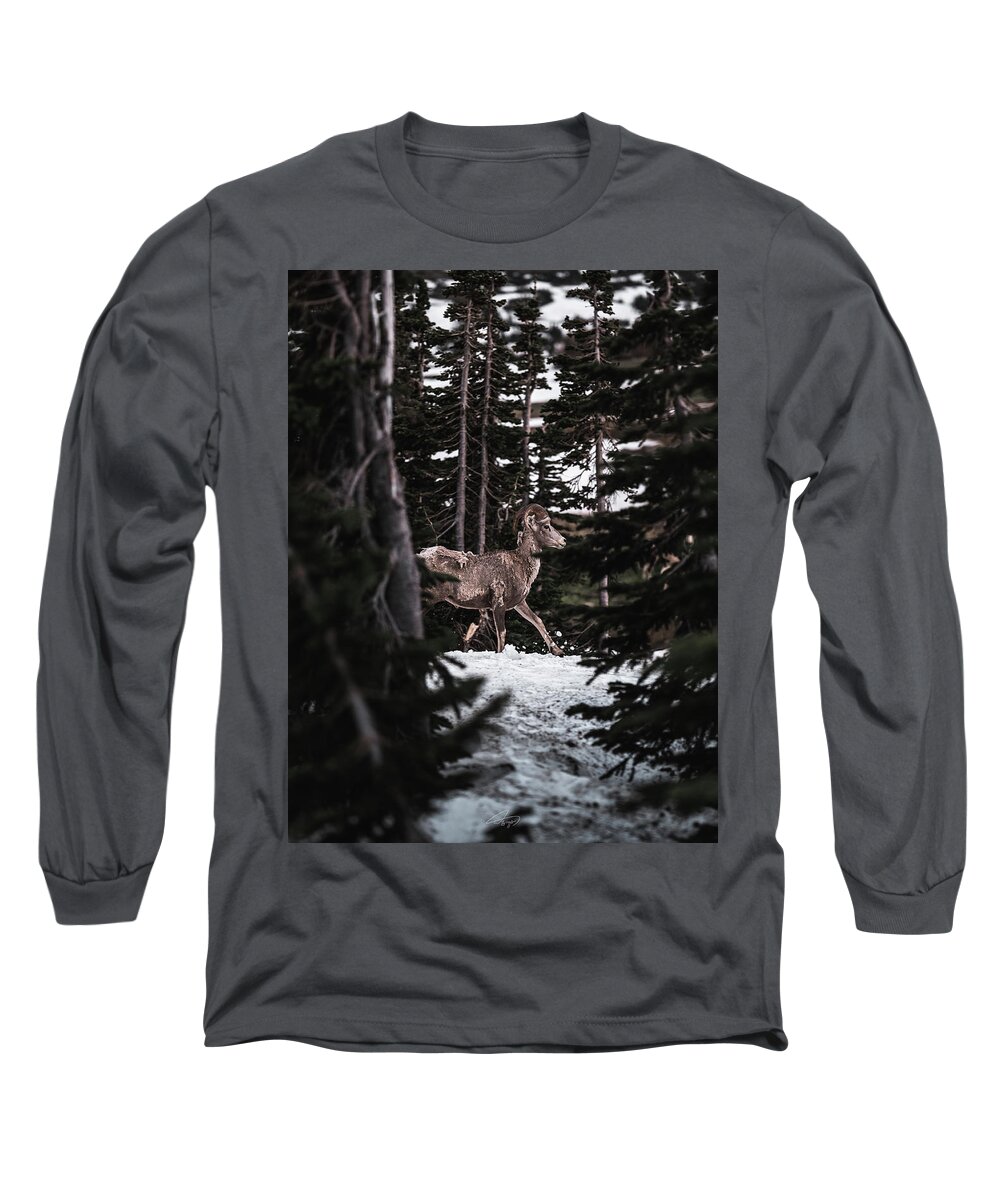  Long Sleeve T-Shirt featuring the photograph Bighorn in Snow by William Boggs