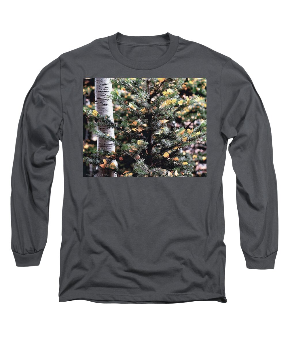Forest Long Sleeve T-Shirt featuring the digital art Birch in a Forest by Norman Brule