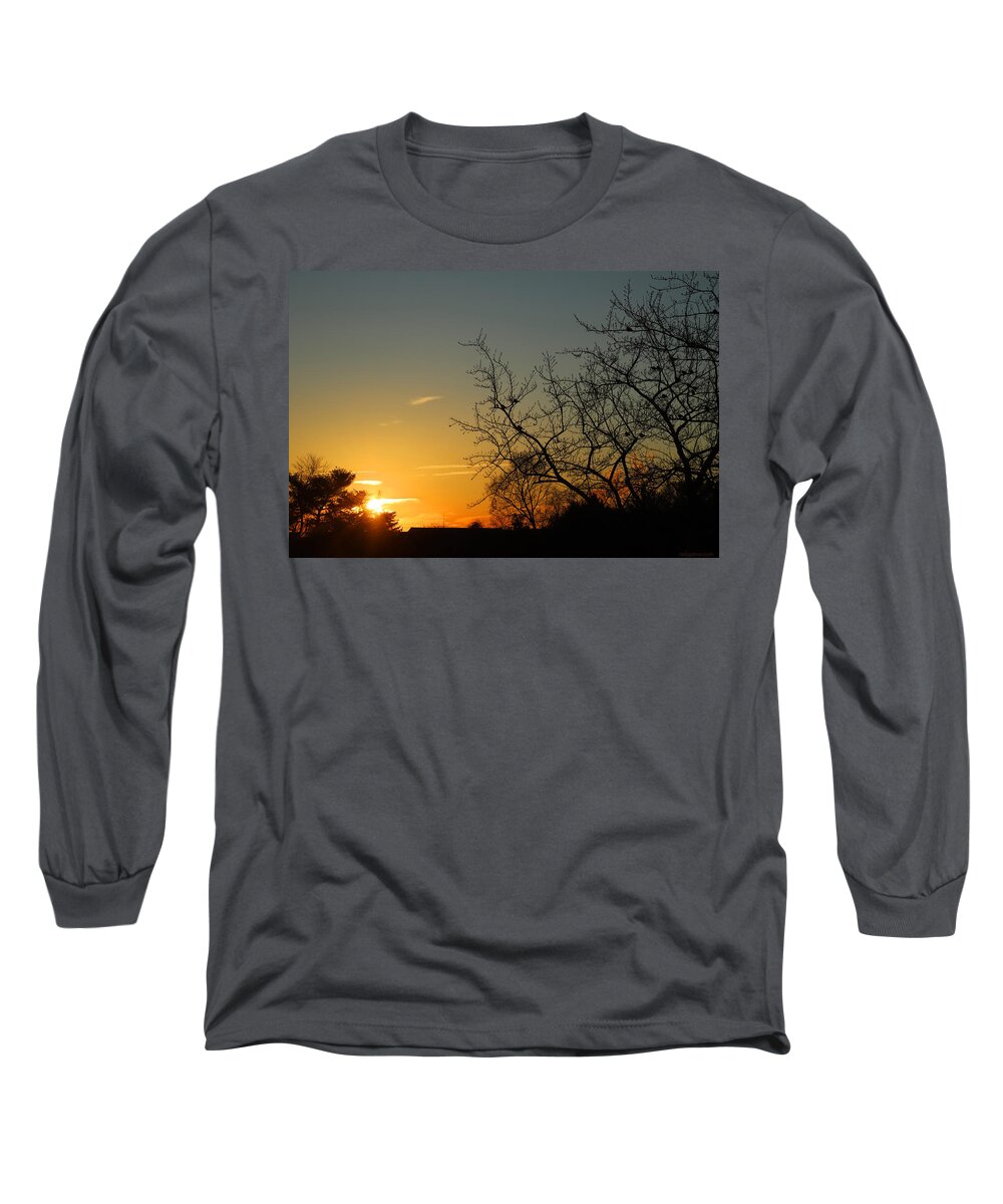 Golden Long Sleeve T-Shirt featuring the photograph Birds at Sunrise January 24 2021 by Miriam A Kilmer