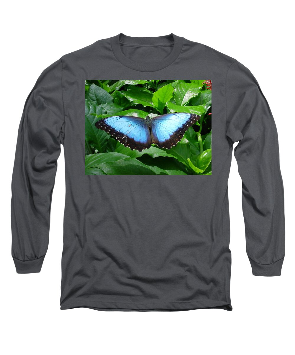Butterflies Long Sleeve T-Shirt featuring the photograph Black and Blue Butterfly by Pour Your heART Out Artworks