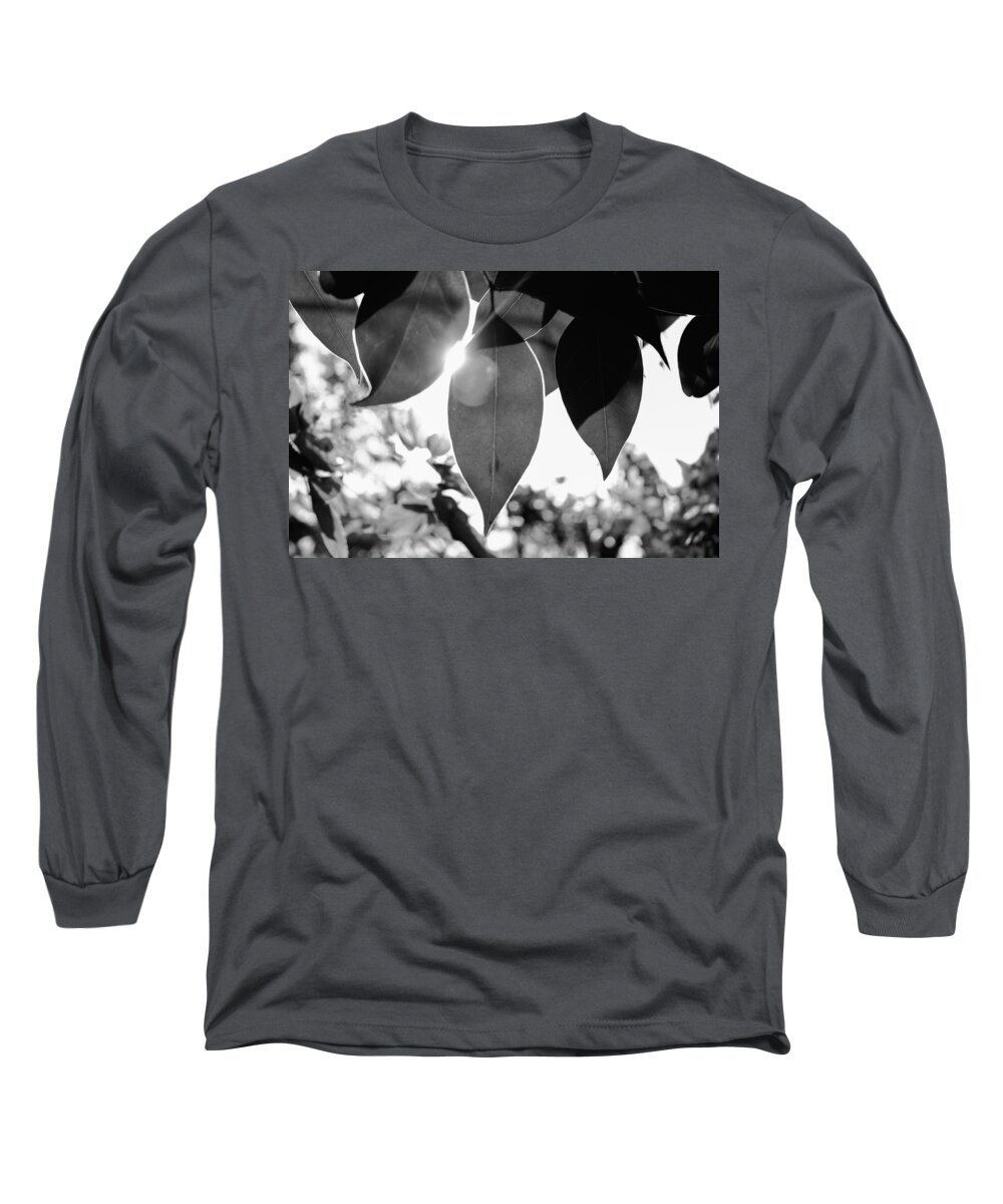 Ligustrum Long Sleeve T-Shirt featuring the photograph Black and White Sunny Leaves by W Craig Photography