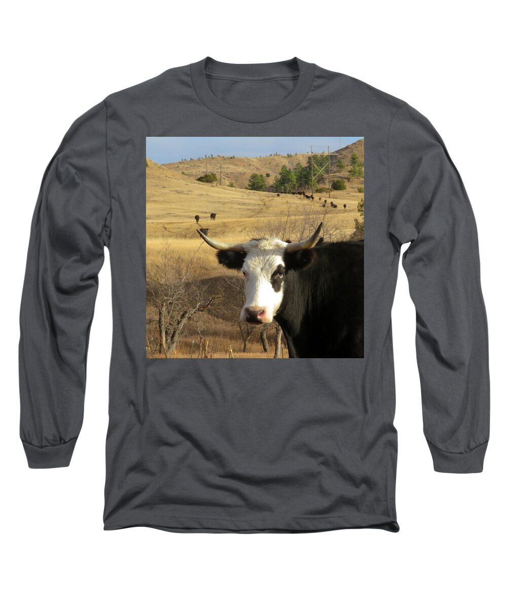 Cow Long Sleeve T-Shirt featuring the photograph Black Baldy Cow by Katie Keenan