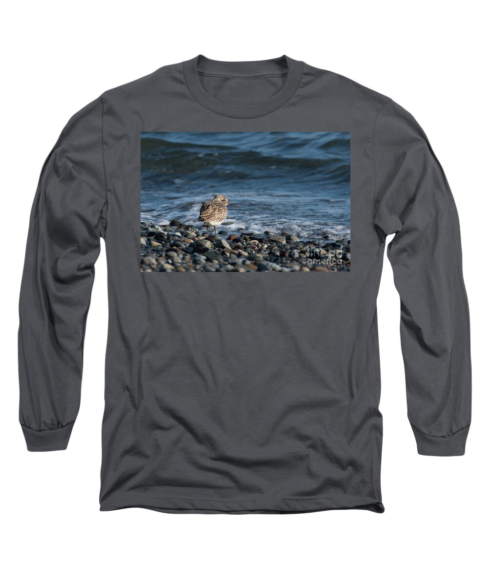 Black-bellied Plover Long Sleeve T-Shirt featuring the photograph Black-bellied Plover on Pebbles by Nancy Gleason