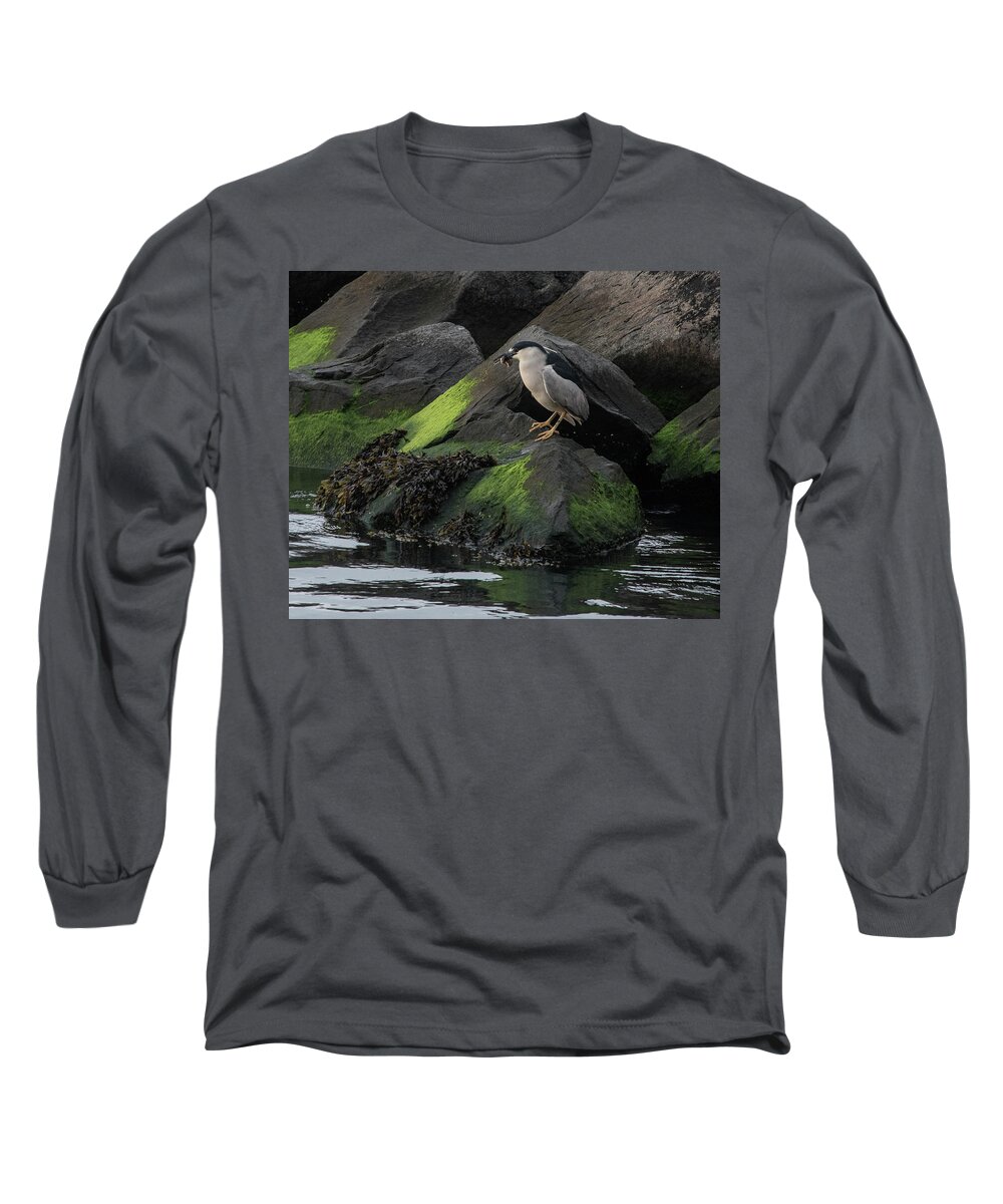 Black Crowned Night Heron Long Sleeve T-Shirt featuring the photograph Black Crowned Night Heron by Alan Goldberg