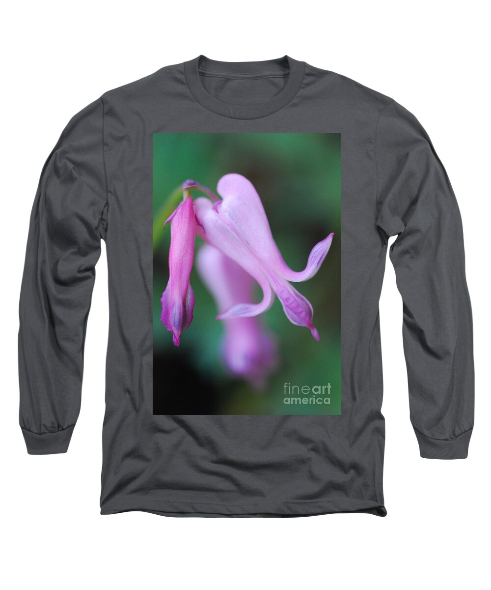 Macrophotography Long Sleeve T-Shirt featuring the photograph Bleeding Heart 1 by Stephanie Gambini