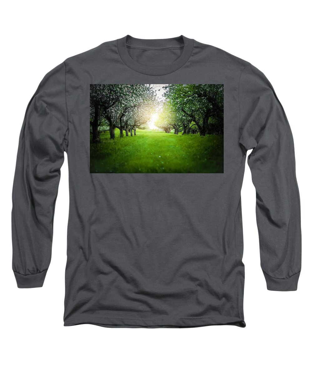  Long Sleeve T-Shirt featuring the photograph Blossum Heaven by Nicole Engstrom
