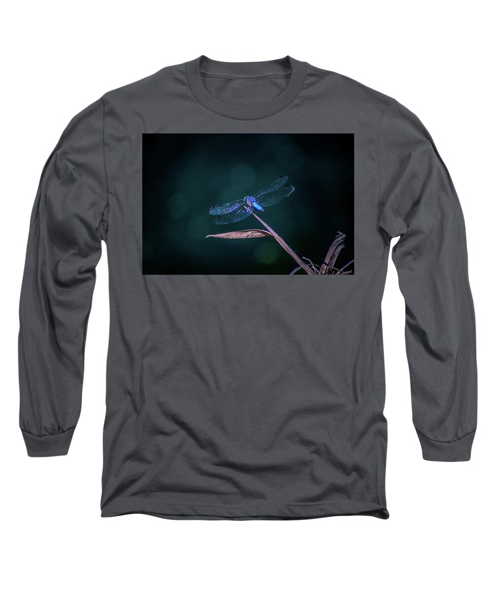 Insects Long Sleeve T-Shirt featuring the photograph Blue Dragonfly by Marcus Jones