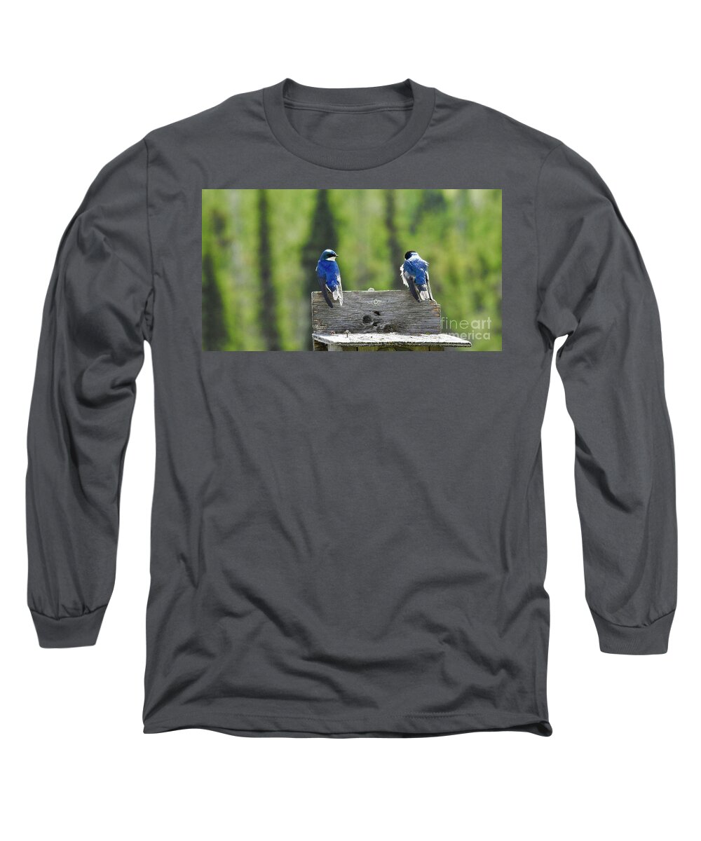 Swallows Long Sleeve T-Shirt featuring the photograph Blue by Nicola Finch