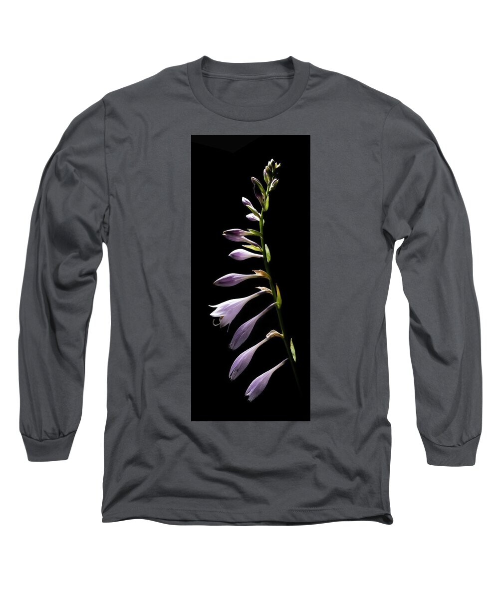 Blue Plantain Lily Long Sleeve T-Shirt featuring the photograph Blue Plantain Lily 2 by Kevin Suttlehan