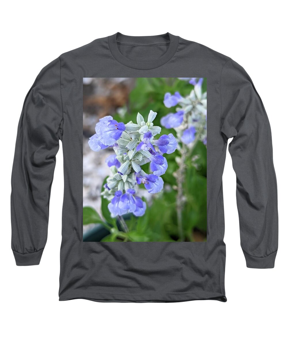Blue Slavia Long Sleeve T-Shirt featuring the photograph Blue Salvia by Pamela Williams