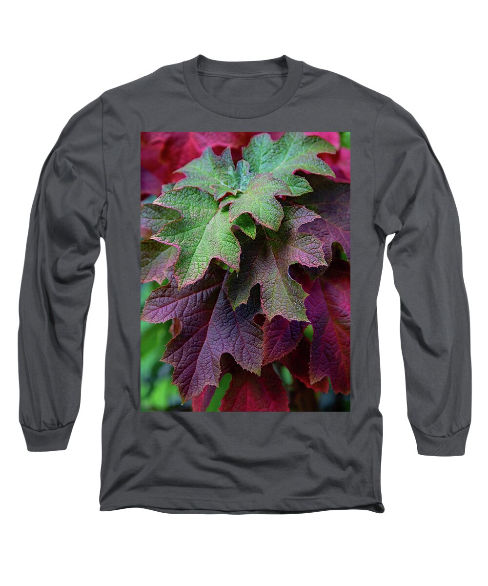 Nature Long Sleeve T-Shirt featuring the photograph Brilliant Oakleaf by Gina Fitzhugh