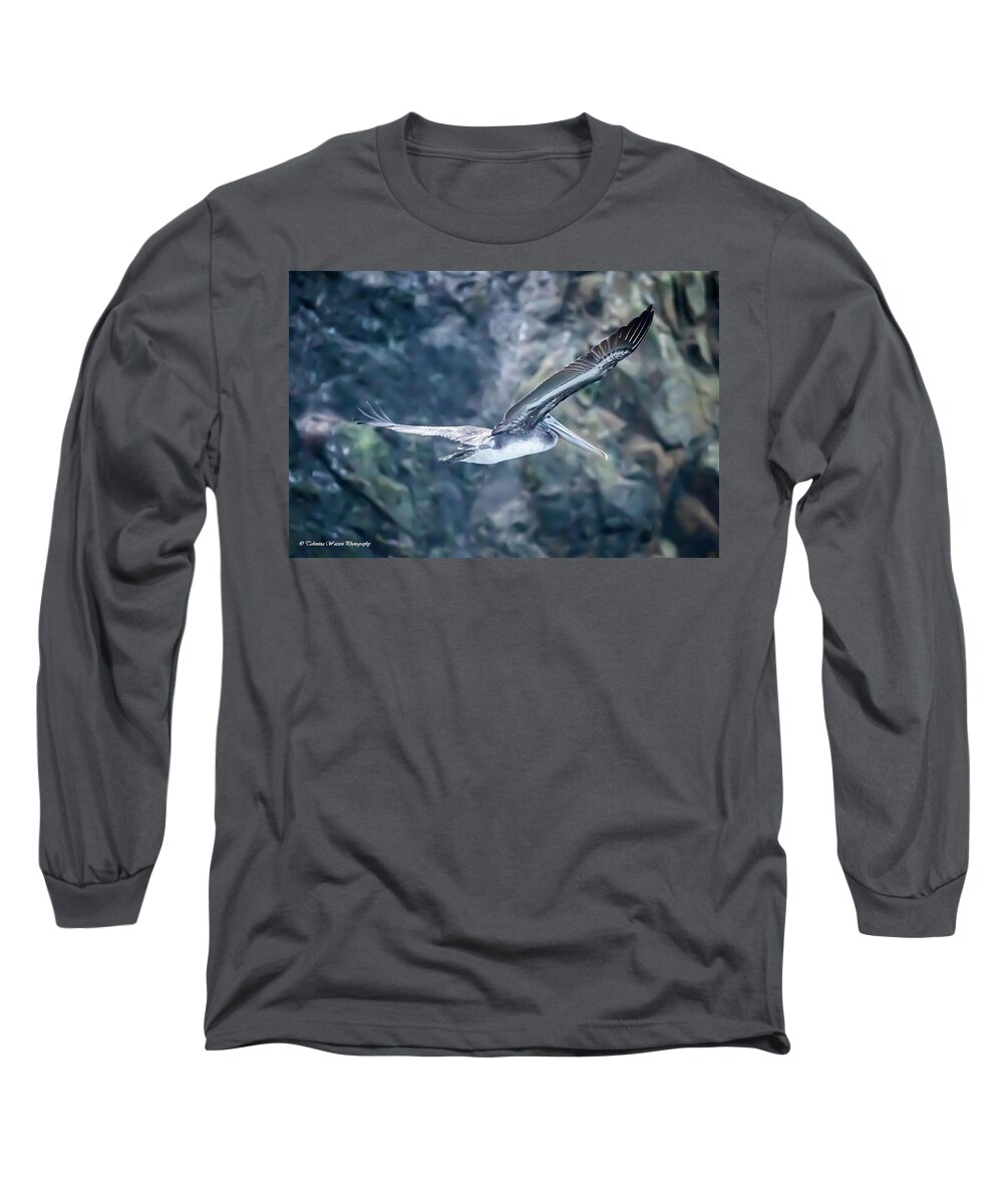 Pelican Long Sleeve T-Shirt featuring the photograph Brown Pelican by Tahmina Watson