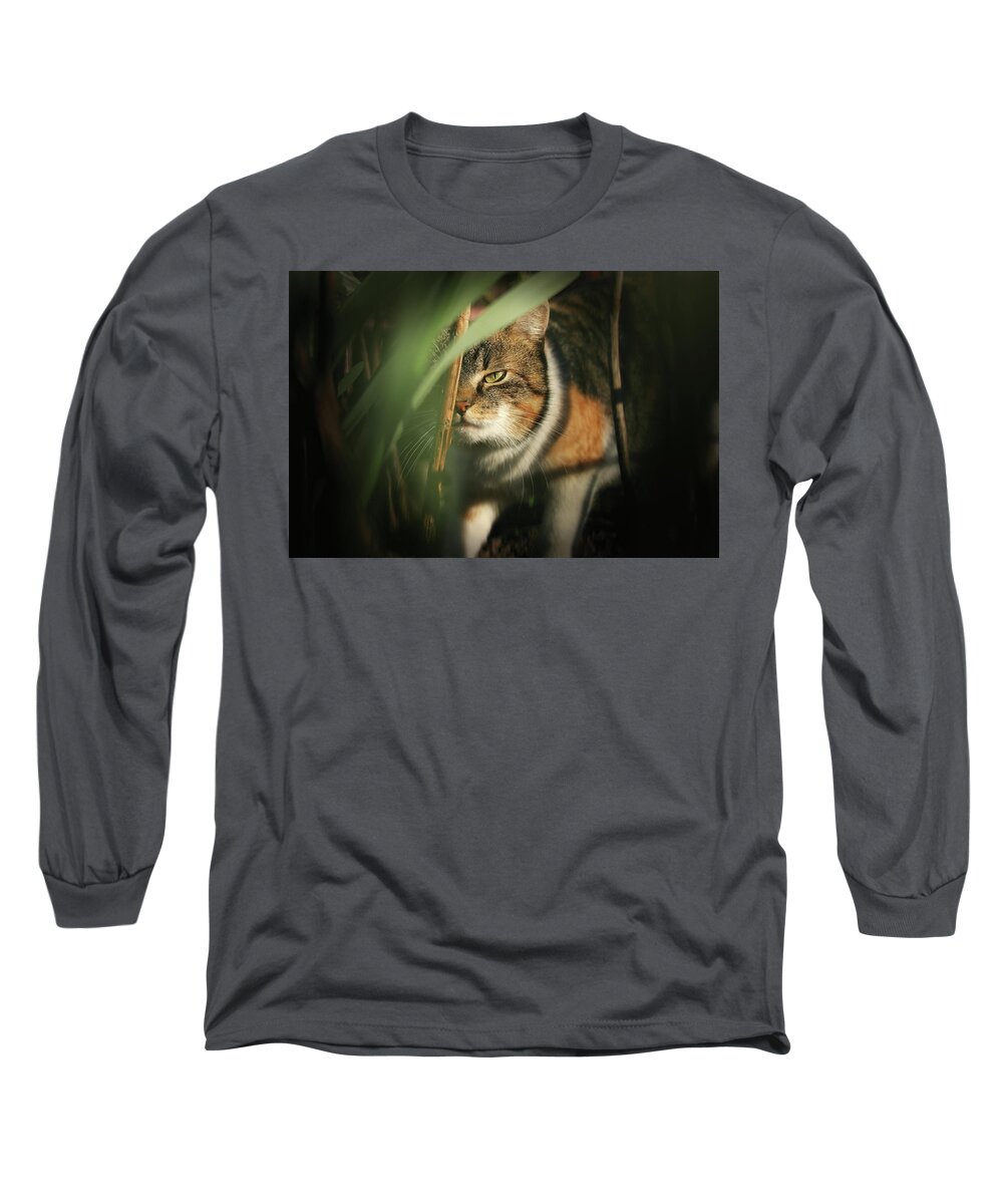Liza Long Sleeve T-Shirt featuring the photograph Cruel look by domestic kitten walks through dense jungle by Vaclav Sonnek