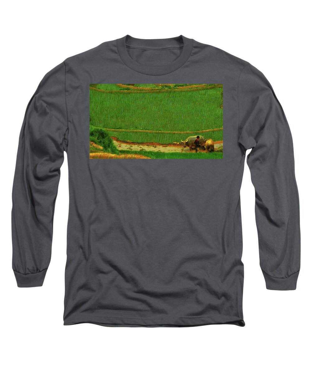 Buffalo Long Sleeve T-Shirt featuring the photograph Buffallos on the rice field by Robert Bociaga