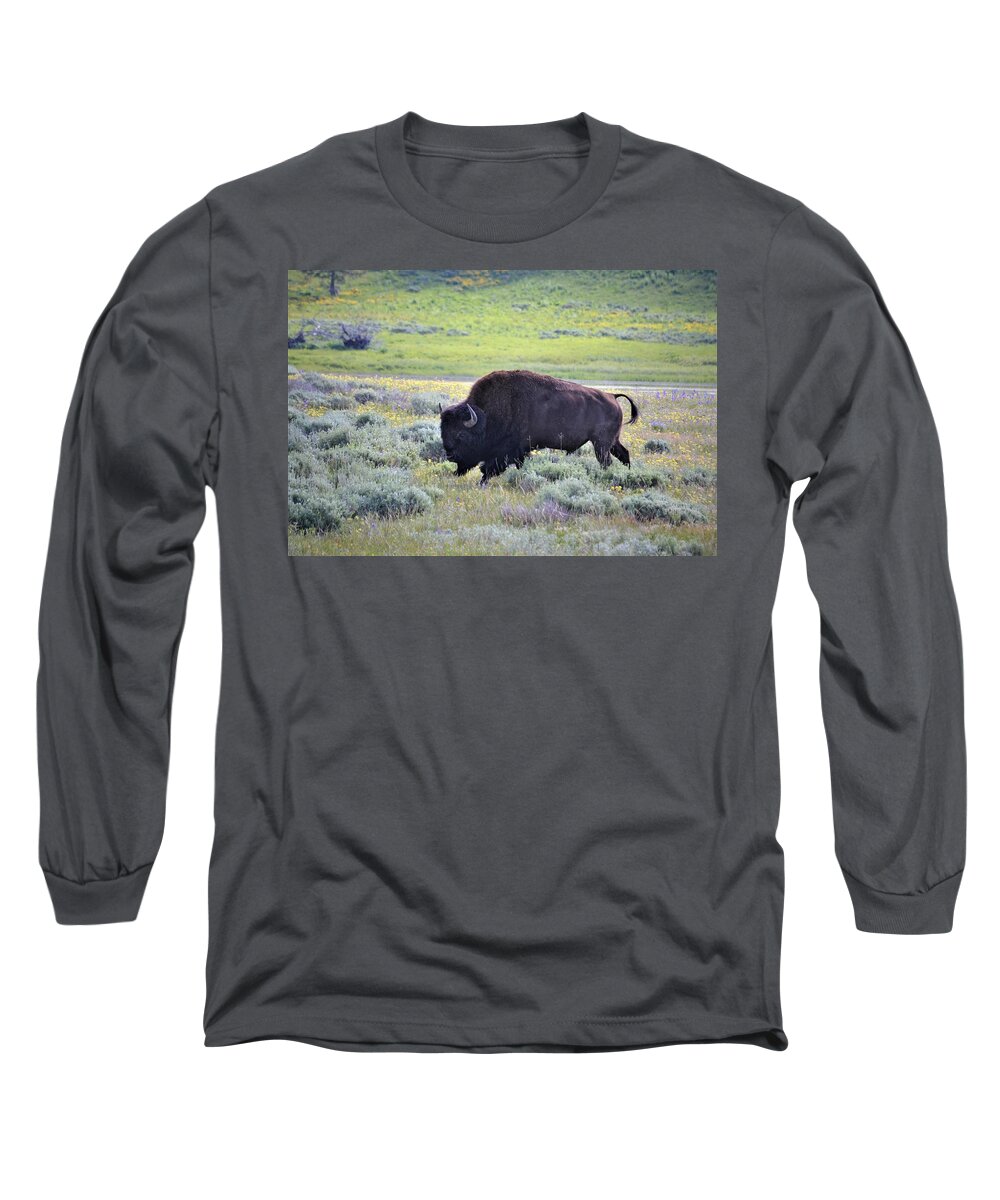 Western Art Long Sleeve T-Shirt featuring the photograph Buffalo in Spring by Alden White Ballard