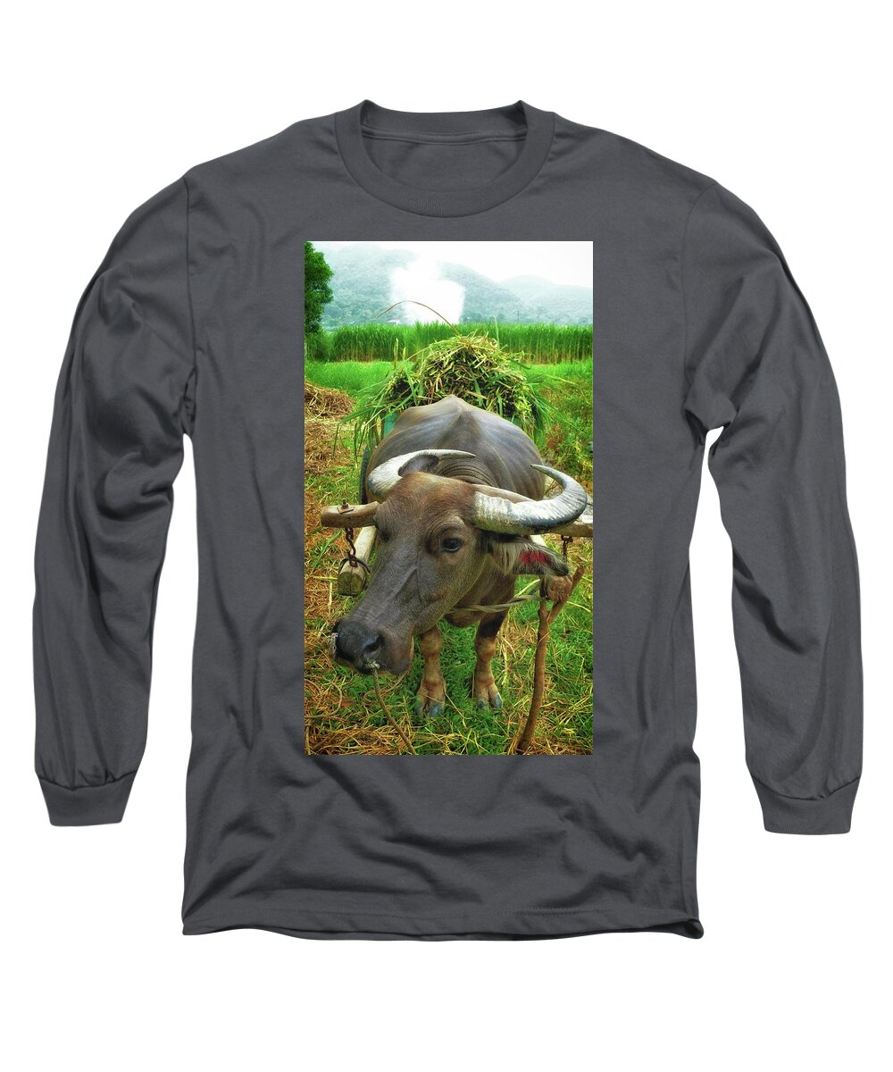 Buffalo Long Sleeve T-Shirt featuring the photograph Buffalo portrait by Robert Bociaga
