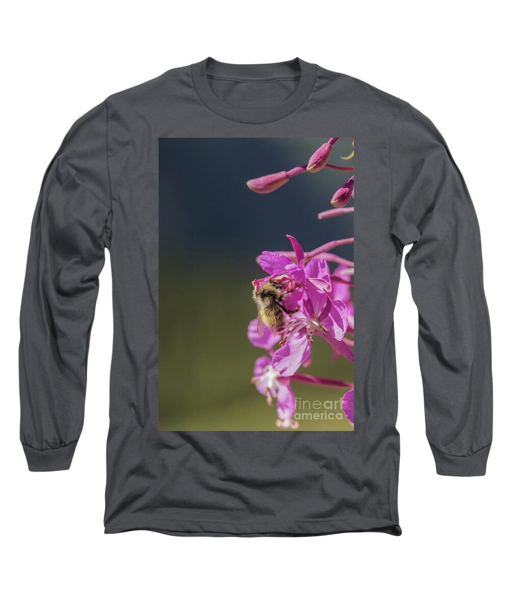 Bumble Bee Long Sleeve T-Shirt featuring the photograph Bumble bee on fireweed at Glacier NP by Nancy Gleason