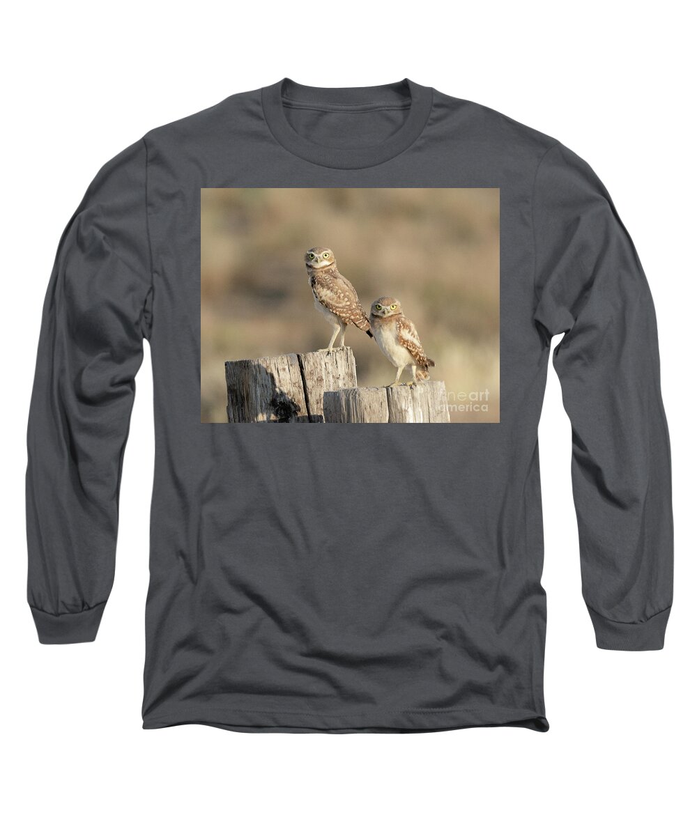 Bird Long Sleeve T-Shirt featuring the photograph Burrowing Owls in Northern Utah by Dennis Hammer