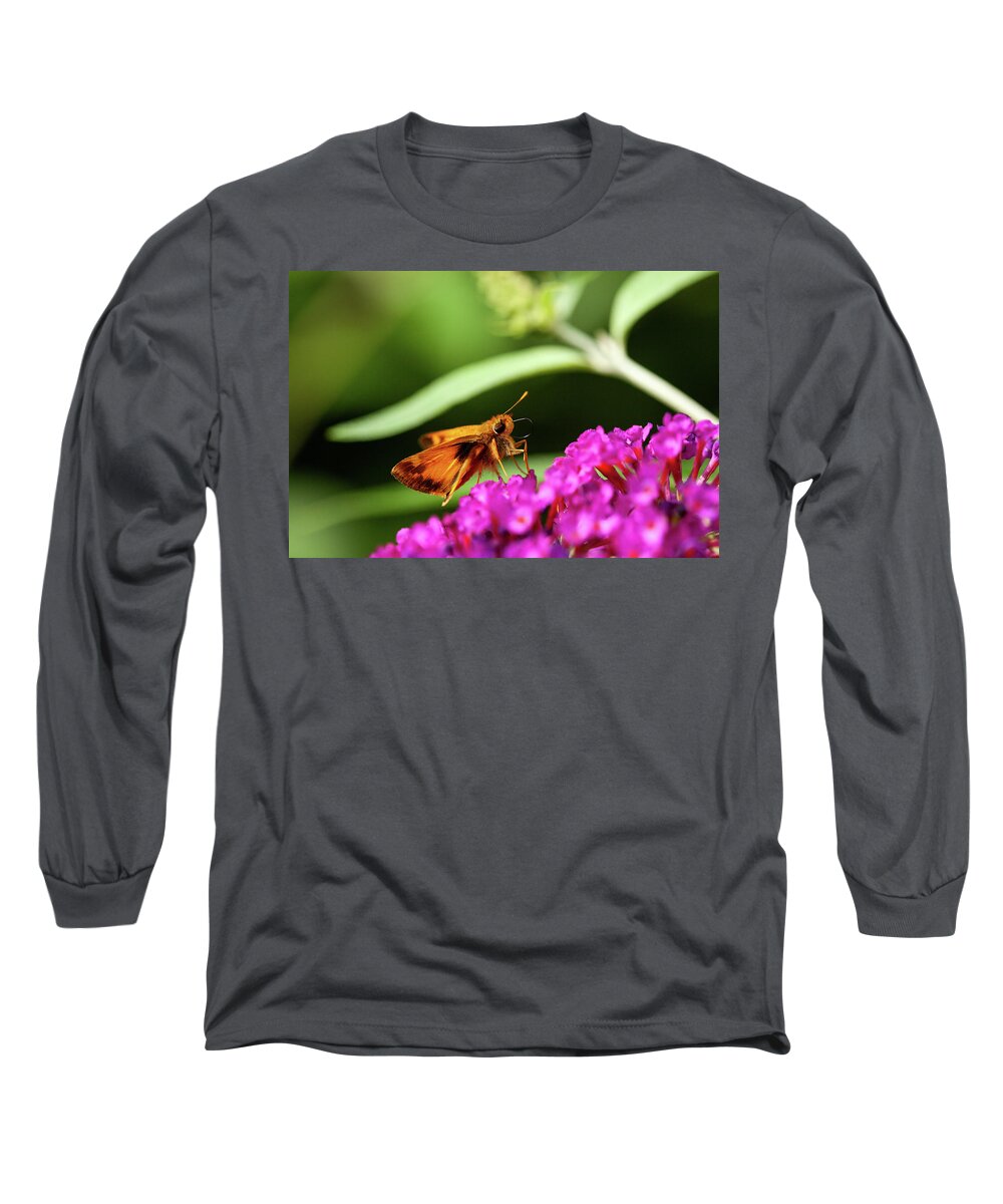 Busy Butterfly Long Sleeve T-Shirt featuring the photograph Busy Butterfly by Karol Livote