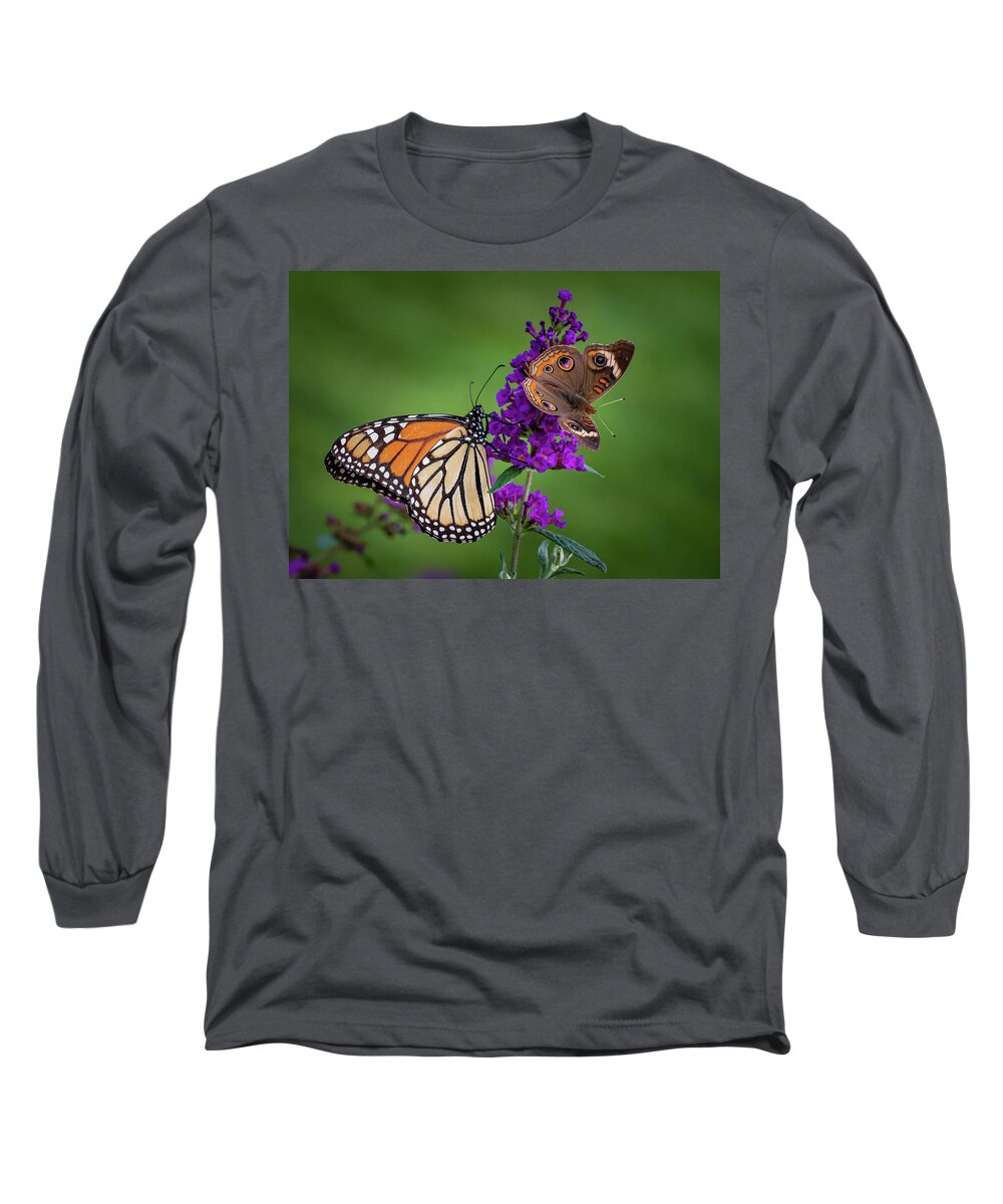 Butterfly Long Sleeve T-Shirt featuring the photograph Butterflies Sharing by Allin Sorenson