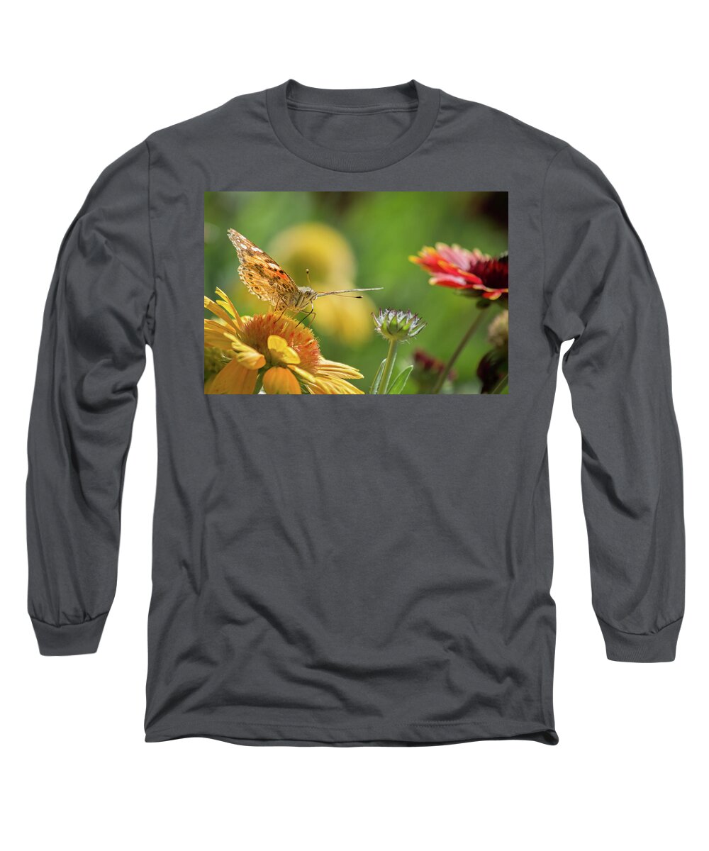 Butterfly Long Sleeve T-Shirt featuring the photograph Butterfly and Flower by Lisa Chorny