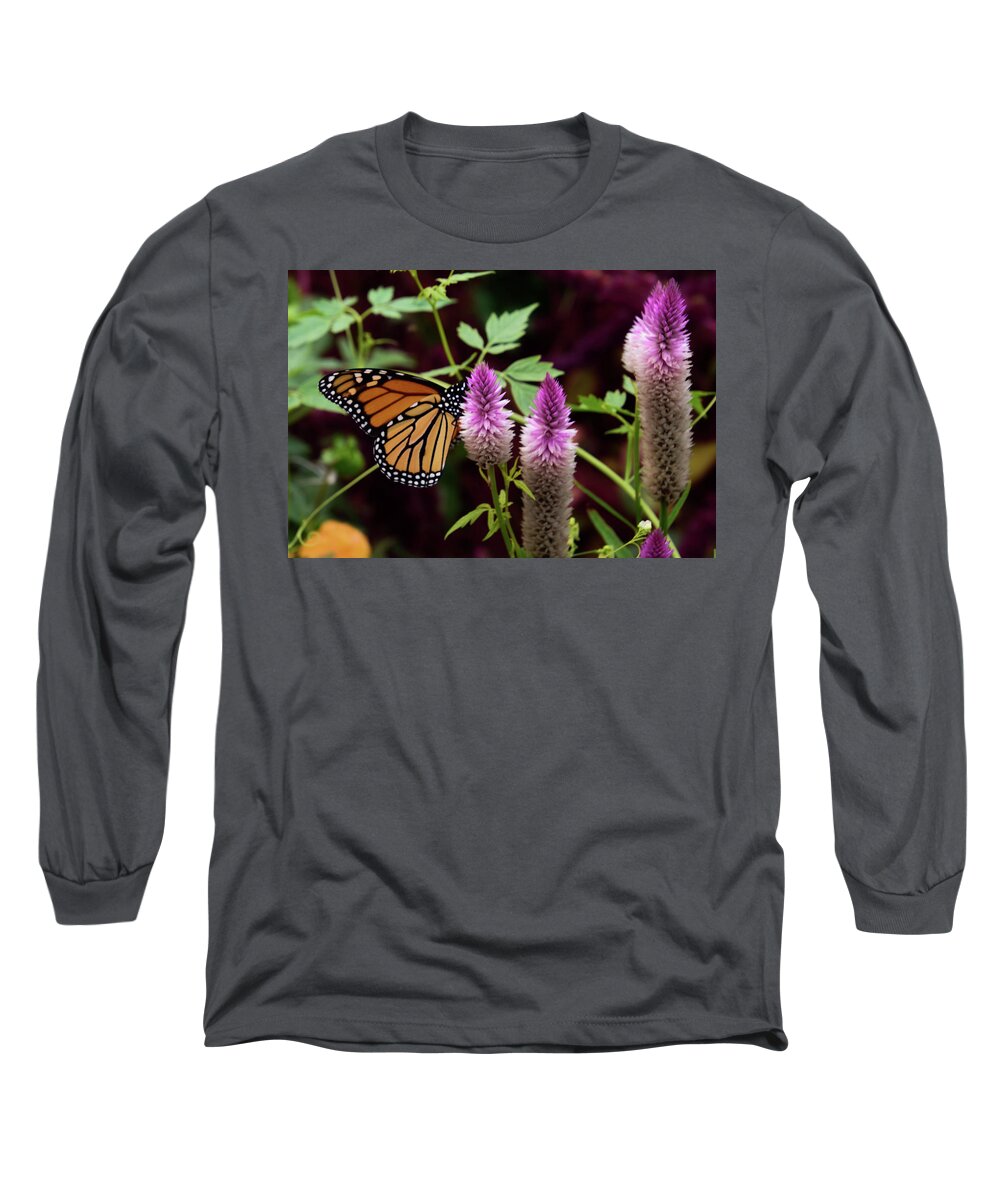 Monarch Long Sleeve T-Shirt featuring the photograph Butterfly on Celosia by Christina McGoran