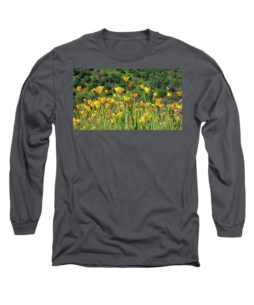 Poppies Long Sleeve T-Shirt featuring the photograph California Gold by Brett Harvey