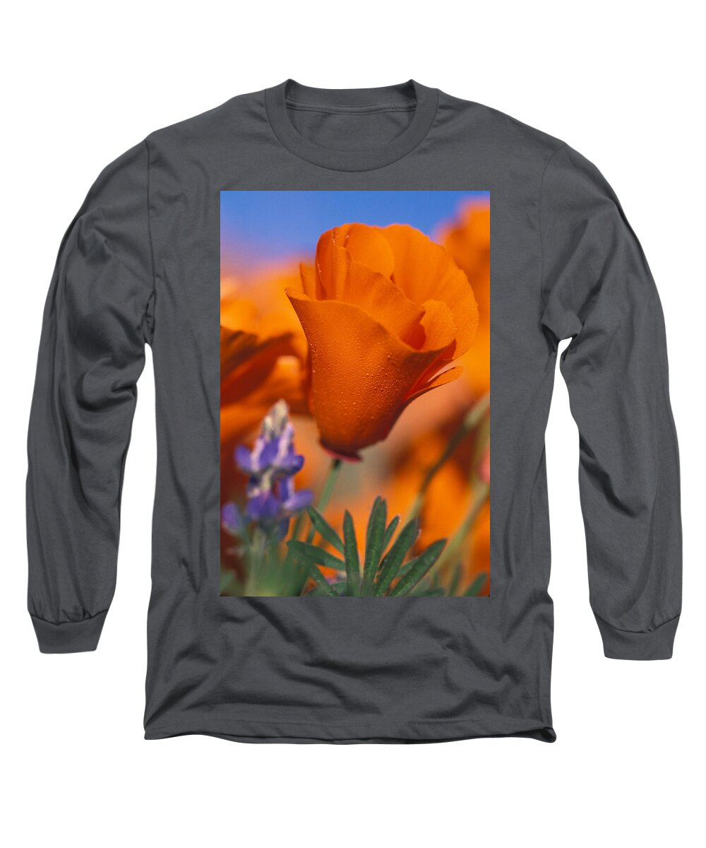 Orange Poppy Long Sleeve T-Shirt featuring the photograph California Poppy and Lupine by Bonnie Colgan