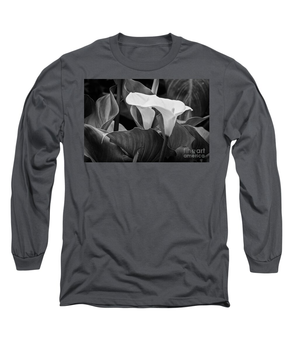 Calla Lily Long Sleeve T-Shirt featuring the photograph Calla Lily by Jennifer Magallon