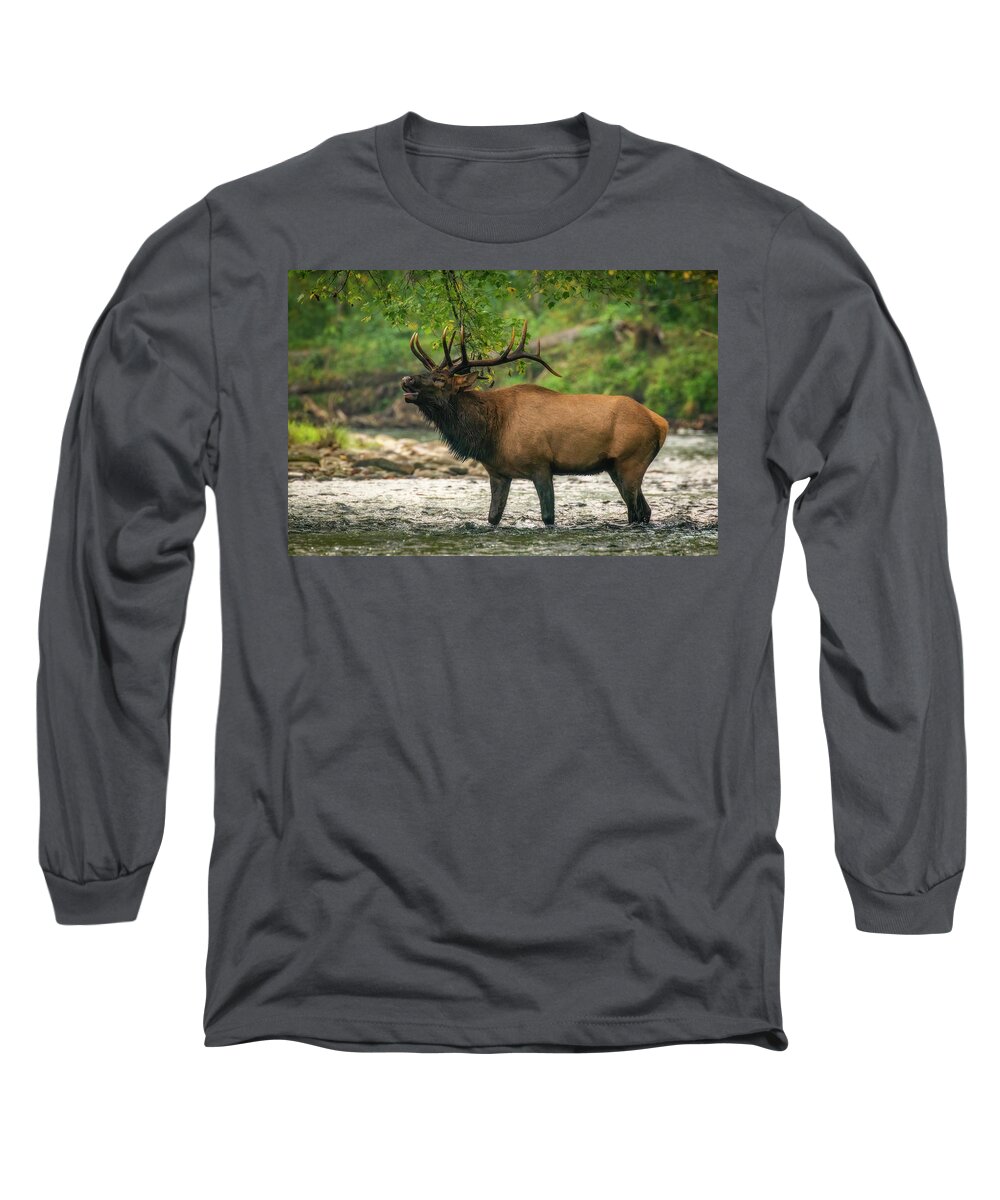 Great Smoky Mountains National Park Long Sleeve T-Shirt featuring the photograph Calling the Ladies by Robert J Wagner