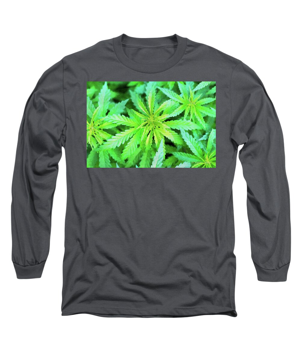 Cannabis Long Sleeve T-Shirt featuring the painting Cannabis Leaves by Karrie J Butler