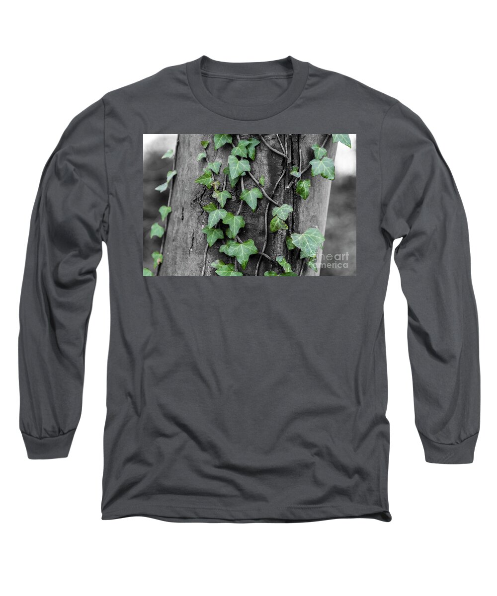 Ivy Long Sleeve T-Shirt featuring the photograph Captured by ivy by Daniel M Walsh