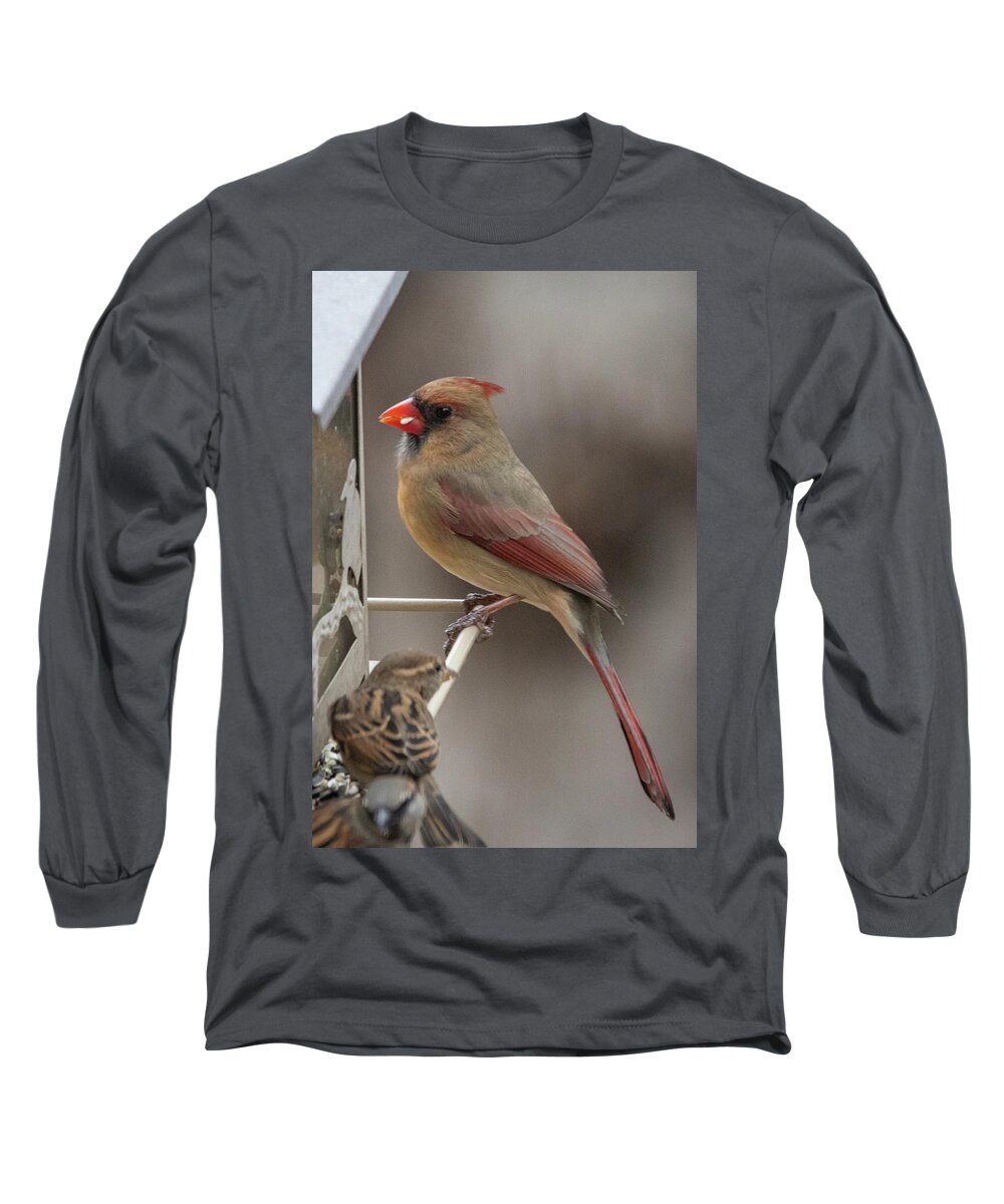 2019 Long Sleeve T-Shirt featuring the photograph Cardinal 2 by Gerri Bigler