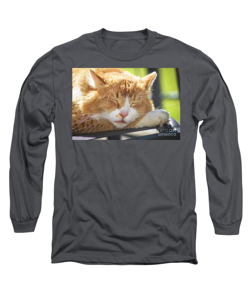 Animal Long Sleeve T-Shirt featuring the photograph Cat Taking A Nap by Claudia Zahnd-Prezioso