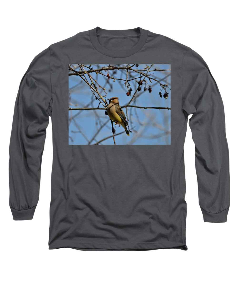  Long Sleeve T-Shirt featuring the photograph Cedar Waxwing 2 by David Armstrong