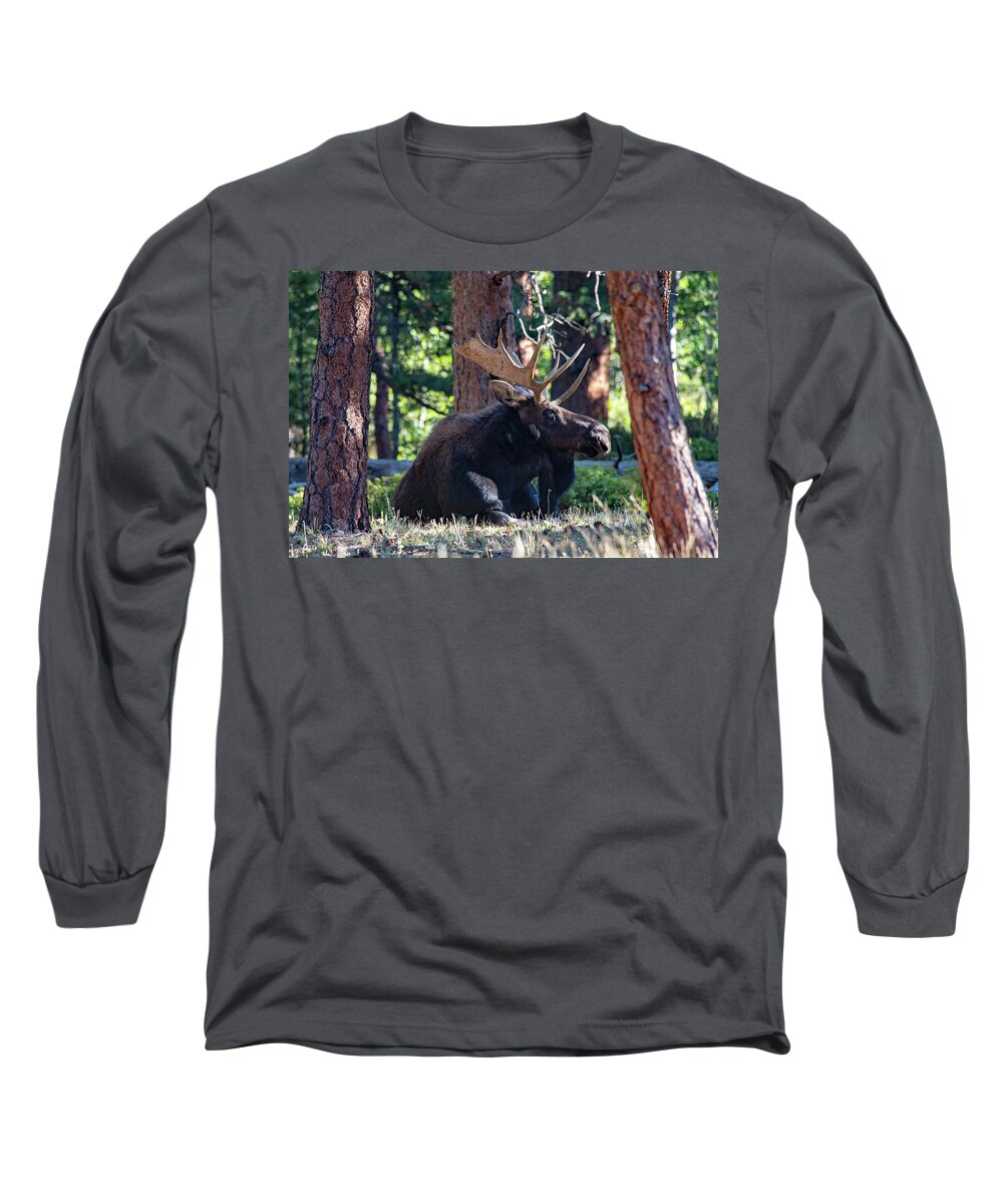 Moose Long Sleeve T-Shirt featuring the photograph Chillin' by Darlene Bushue