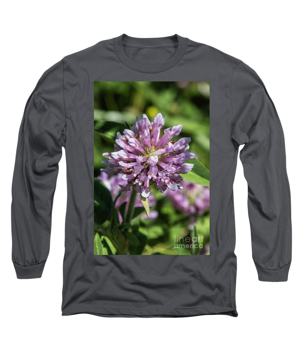 Illinois Long Sleeve T-Shirt featuring the photograph Clover by Kathy McClure