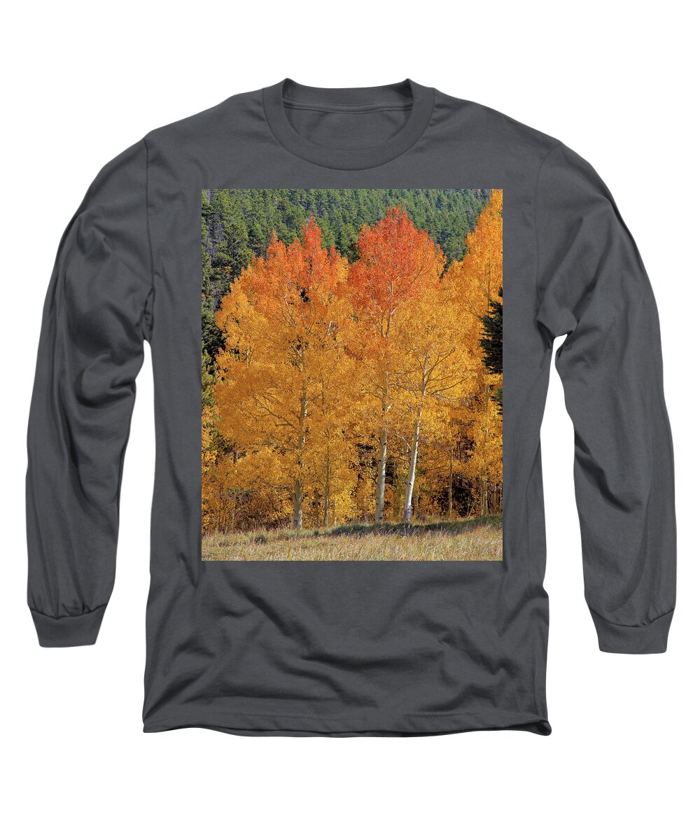Colorado Long Sleeve T-Shirt featuring the photograph Colorado Fall Colors by Bob Falcone