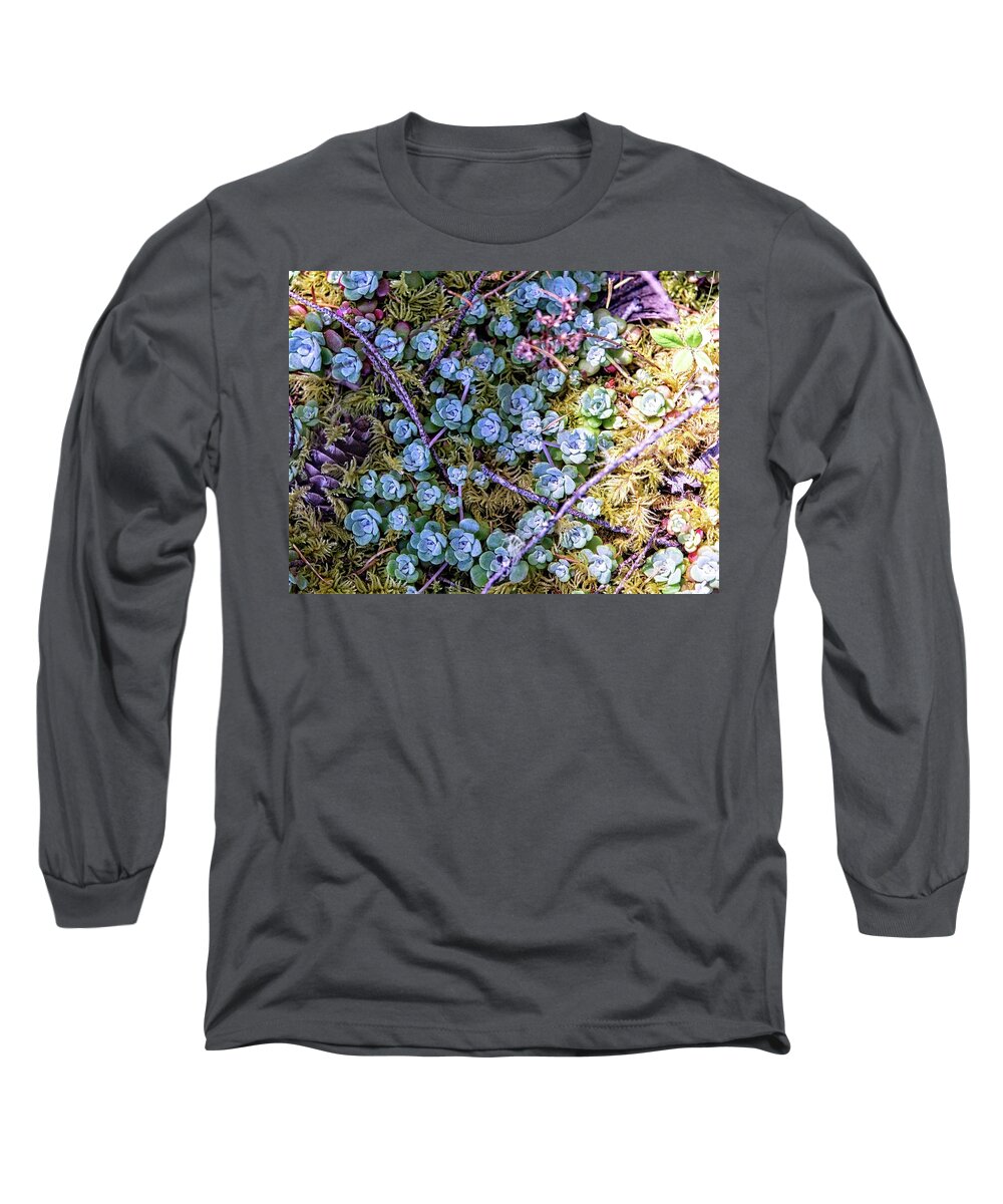 Background Long Sleeve T-Shirt featuring the photograph Colorful Forest Floor by David Desautel