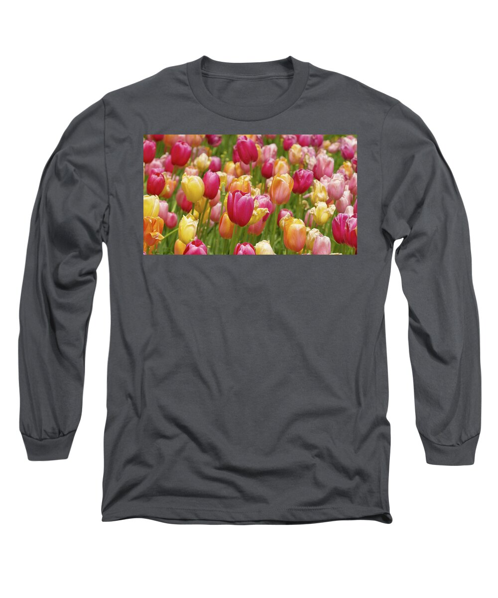Colorful Tulips Long Sleeve T-Shirt featuring the photograph Colorful tulips by David Morehead