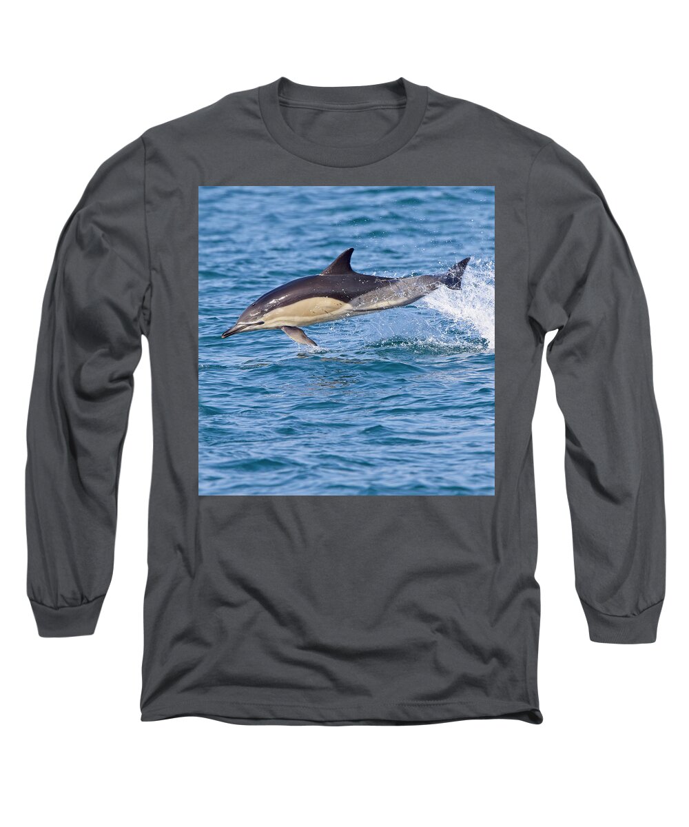 Dolphin Long Sleeve T-Shirt featuring the photograph Common Dolphin leaping, Cornwall. by Tony Mills