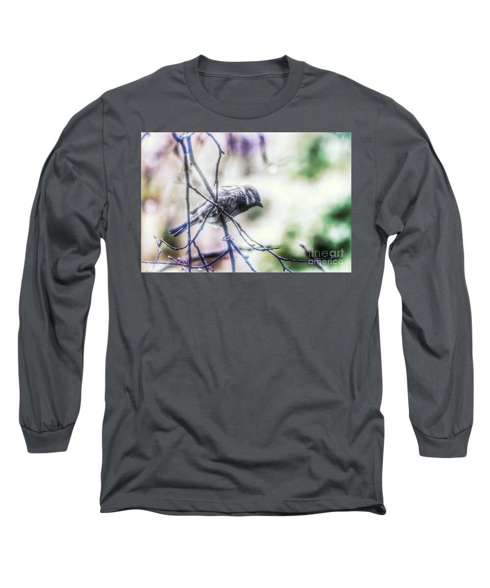 Birds Long Sleeve T-Shirt featuring the photograph Concerned Sparrow by Kimberly Furey