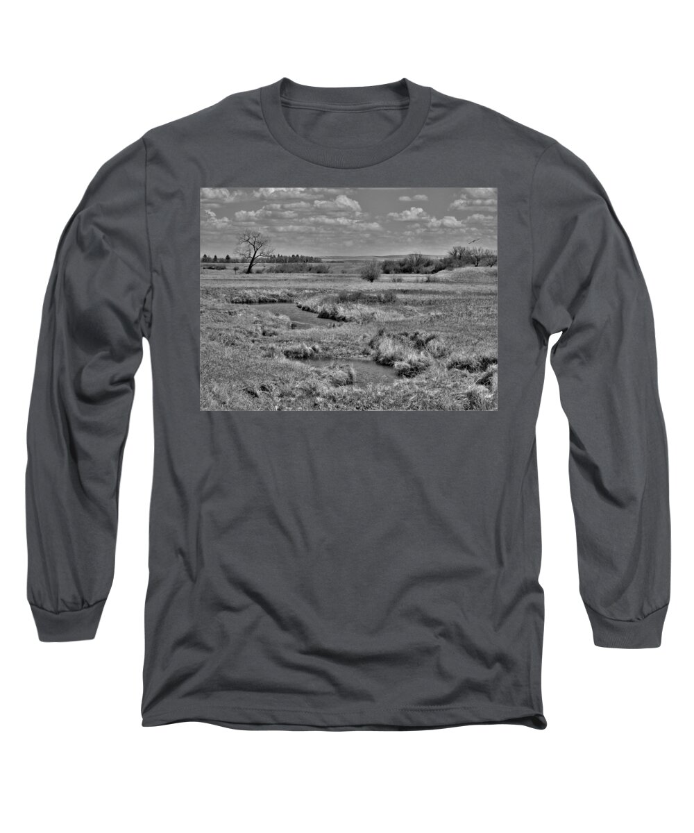 Swallows Long Sleeve T-Shirt featuring the photograph Creek and Flying Swallows in Black and White by Amanda R Wright