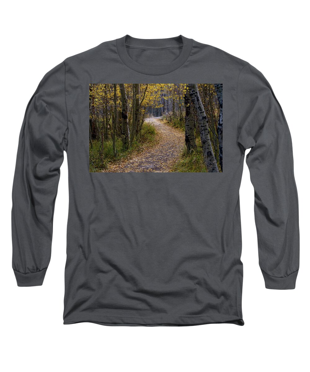 Pathway Long Sleeve T-Shirt featuring the photograph Crunchy Leaves - Autumnal Pathway - June Lake Loop - CA. by Bonnie Colgan