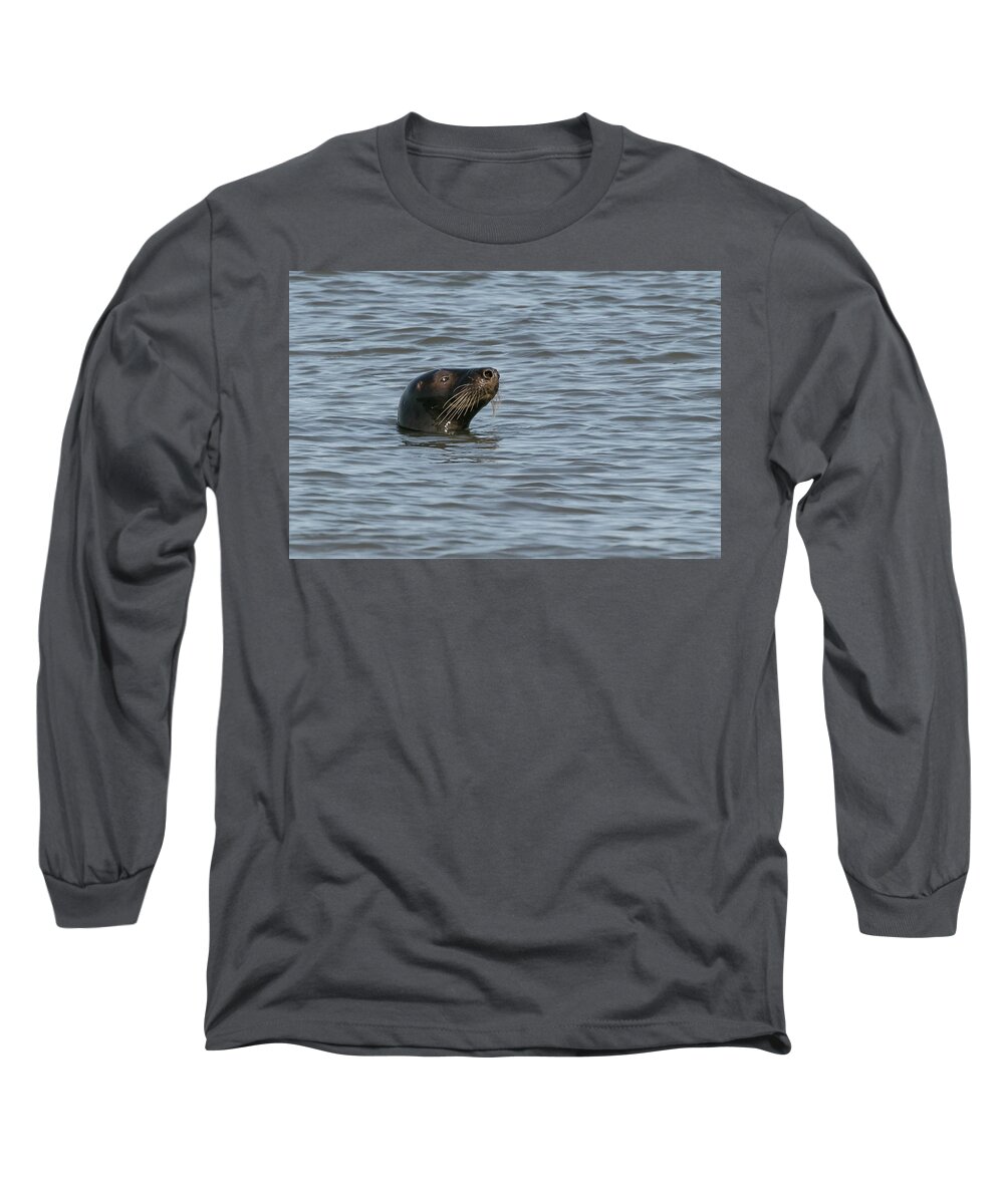 Flyladyphotographybywendycooper Long Sleeve T-Shirt featuring the photograph Curious by Wendy Cooper