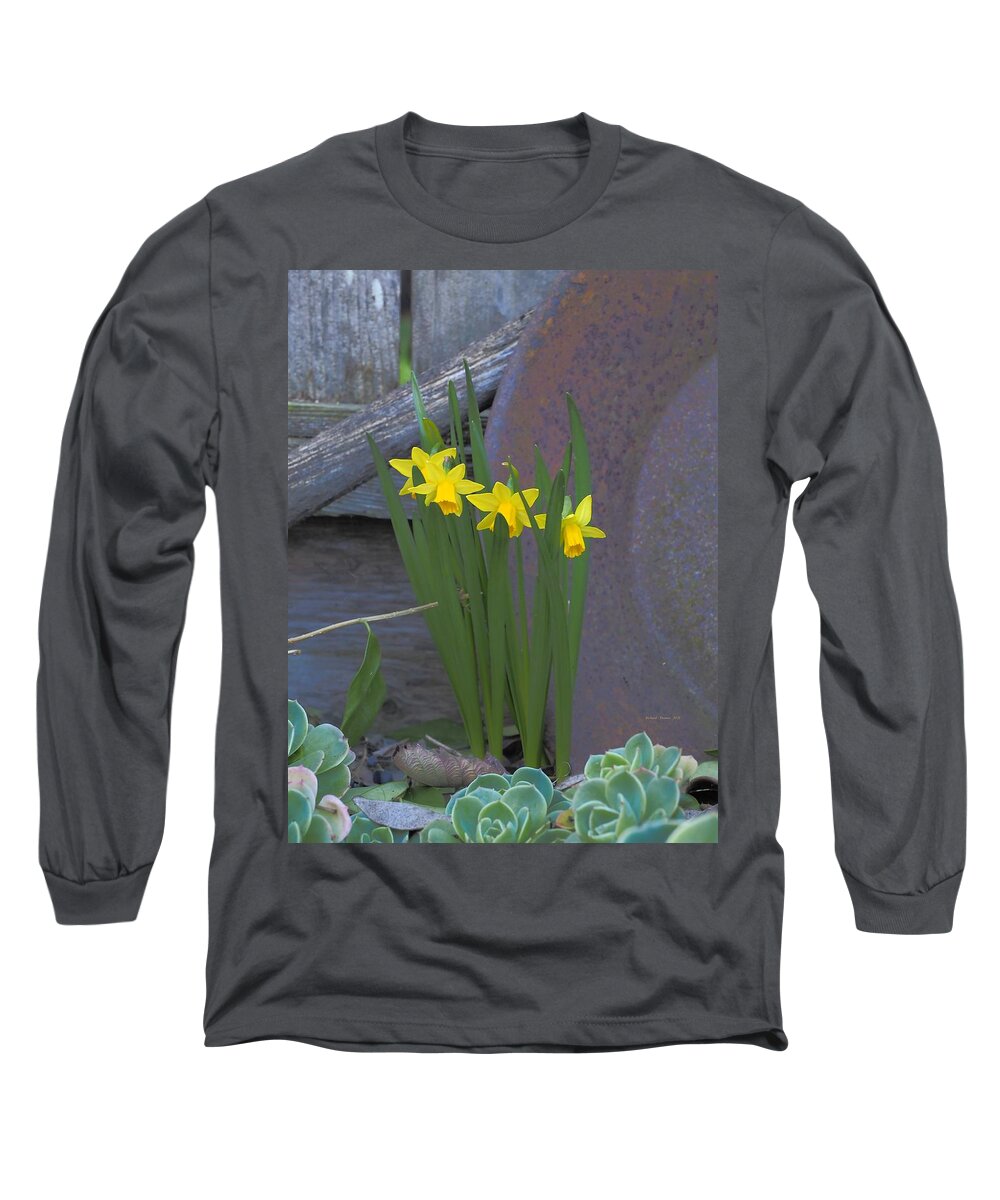Botanical Long Sleeve T-Shirt featuring the photograph Daffodil Gold by Richard Thomas