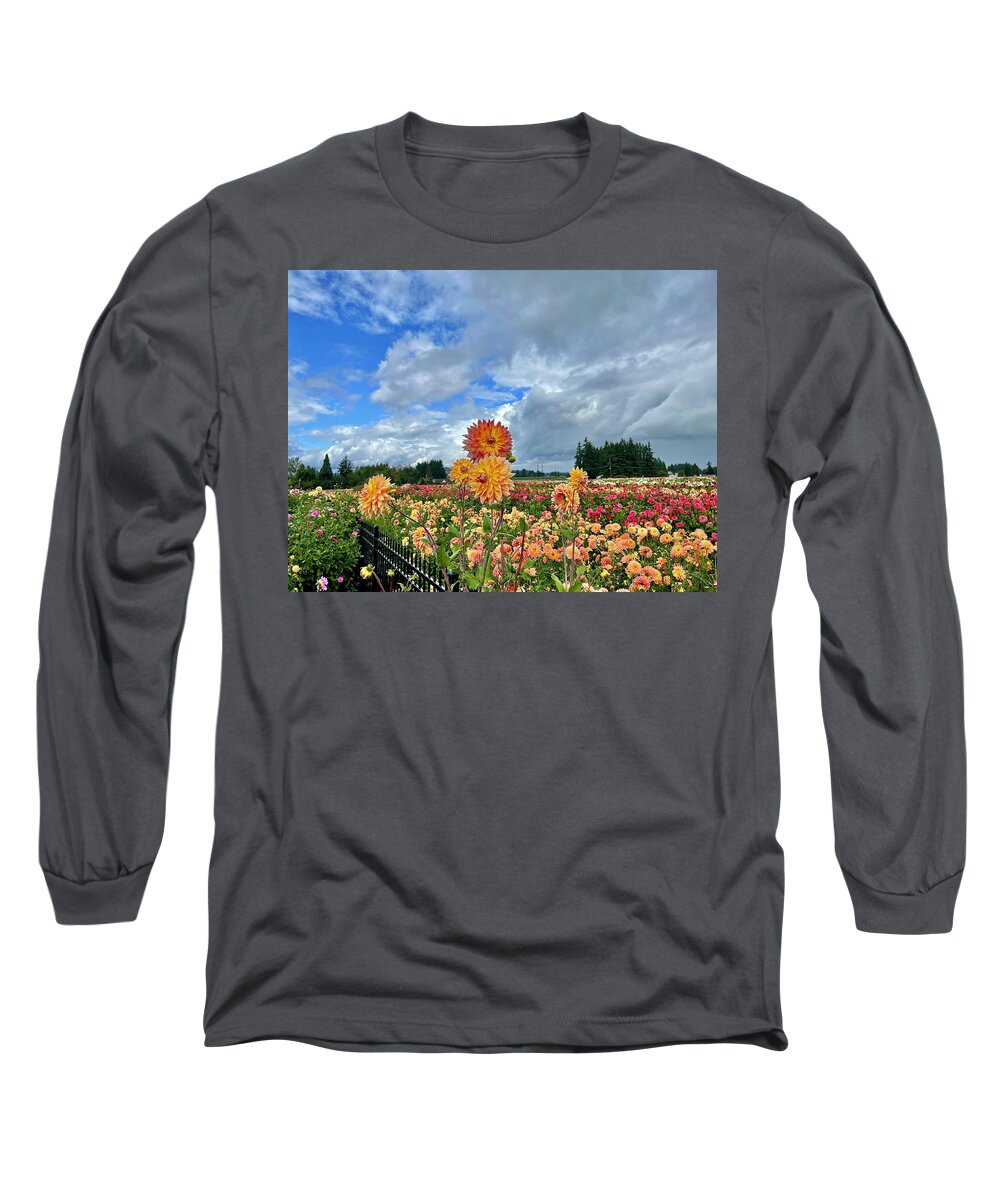 Dahlia Long Sleeve T-Shirt featuring the photograph Dahlias In The Sky by Brian Eberly