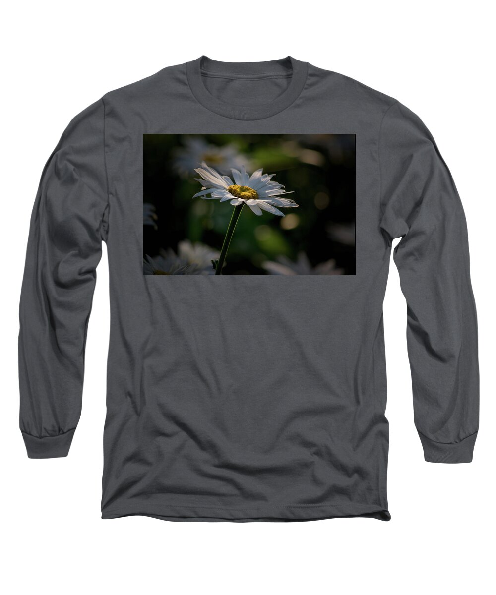 Plants Long Sleeve T-Shirt featuring the photograph Daisy by Buddy Scott